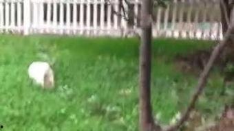 殉难者在线观看土豆,缅怀历史，致敬殉难者